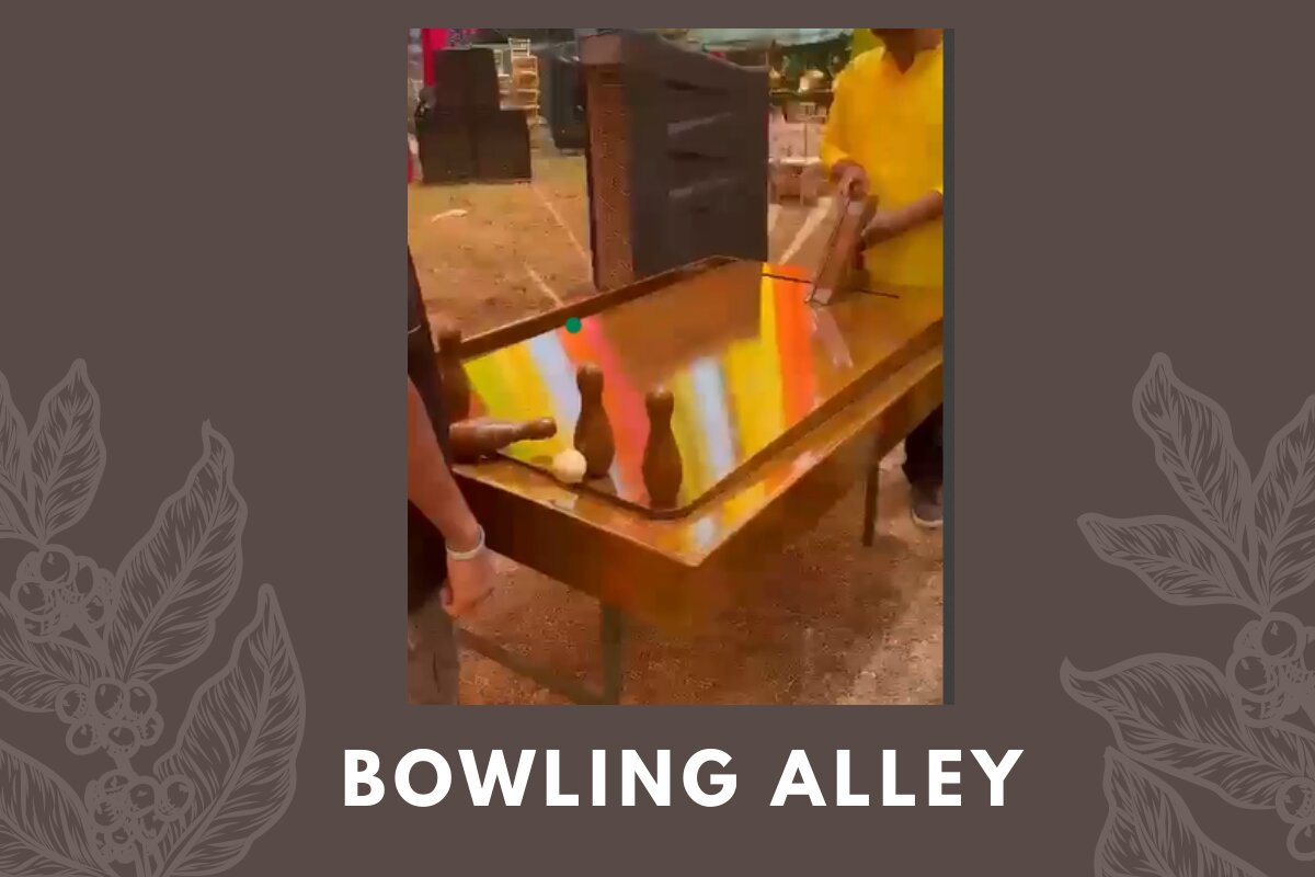 Bowling Alley game stall on rent in Udaipur for birthday parties, wedding carnival and mehendi mela — Premium wooden games